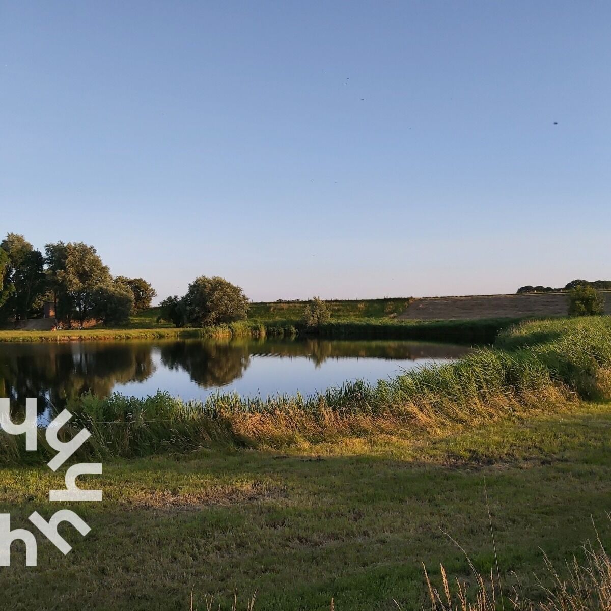 Vijver in de avond bij de camping